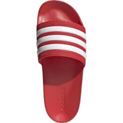 Adidas Shower Adilette Badslippers - Vivid Red/cloud White/vivid Red GZ5923 -Zwemuitrusting adidas shower adilette slides bathing shoe vivid red cloud white vivid red gz5923 1 1471629