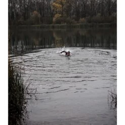 Orca Athlex Flow Wetsuit - Silver Total -Zwemuitrusting orca athlex flow wetsuit silver total 32 1479531